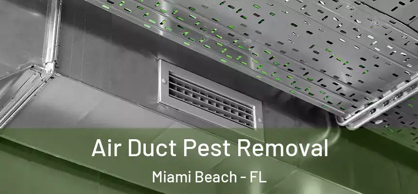 Air Duct Pest Removal Miami Beach - FL
