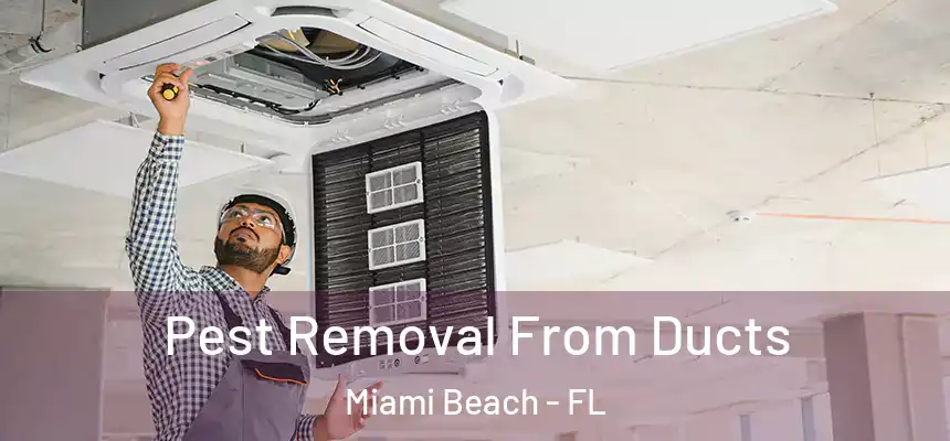 Pest Removal From Ducts Miami Beach - FL