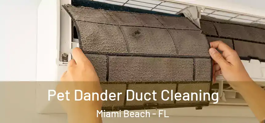 Pet Dander Duct Cleaning Miami Beach - FL