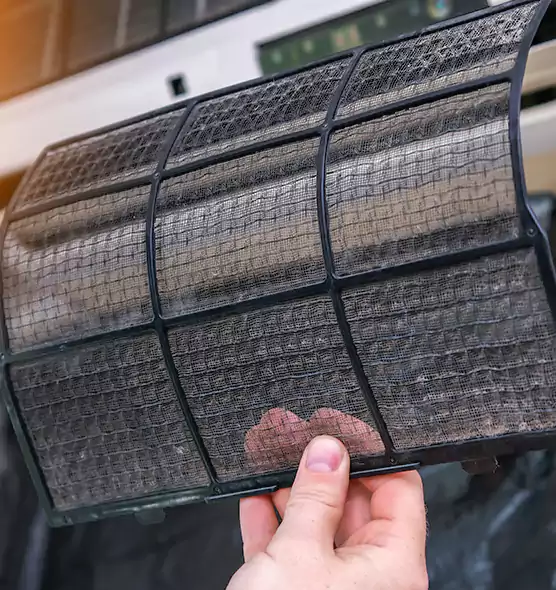 About Pet Dander Duct Cleaning in Miami Beach, FL